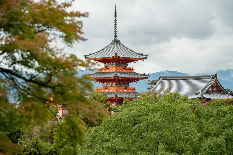 Pagoda and temple hall above the treeline