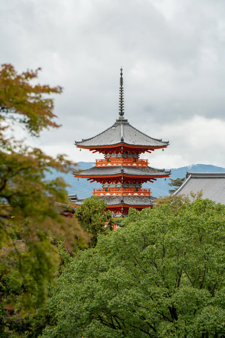 Pagoda and temple hall above the treeline