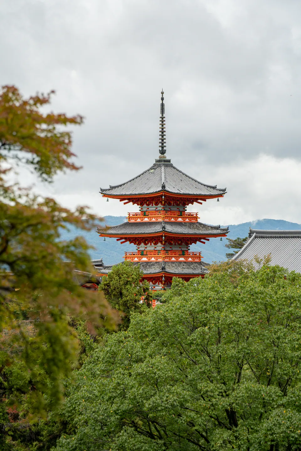 Pagoda and temple hall above the treeline