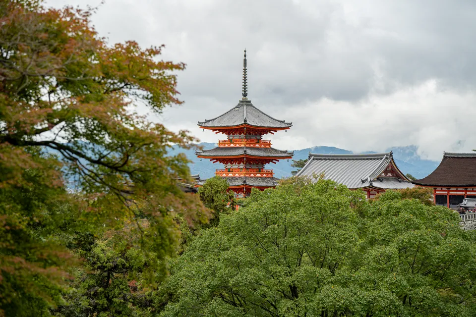 Pagoda and temple hall above the treeline